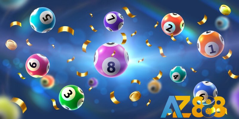 Các Lựa Chọn Đa Dạng