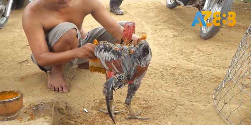 Kỹ thuật vần đòn tấn công