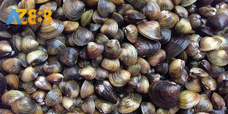 Cho gà ăn đa dạng thực phẩm