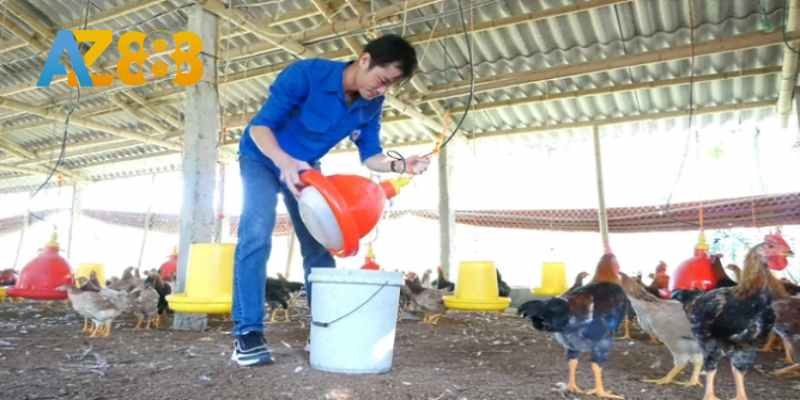 Giữ vệ sinh chuồng trại thoáng mát