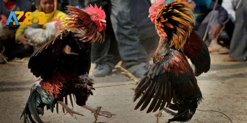 Thế đá phòng thủ